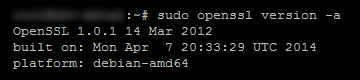 openssl update ubuntu