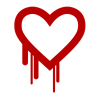 The SSL Heartbleed bug explained in 30 seconds
